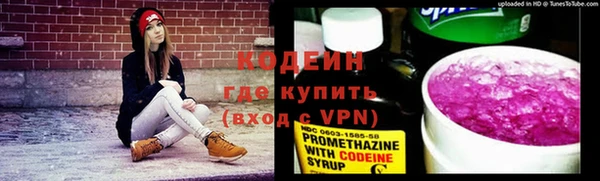 ГАЛЛЮЦИНОГЕННЫЕ ГРИБЫ Козловка