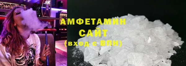 ГАЛЛЮЦИНОГЕННЫЕ ГРИБЫ Козловка