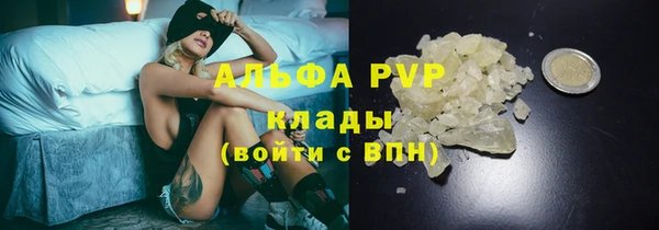 ГАЛЛЮЦИНОГЕННЫЕ ГРИБЫ Козловка