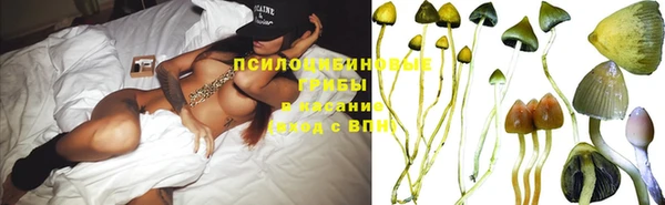 ГАЛЛЮЦИНОГЕННЫЕ ГРИБЫ Козловка