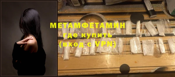 ГАЛЛЮЦИНОГЕННЫЕ ГРИБЫ Козловка