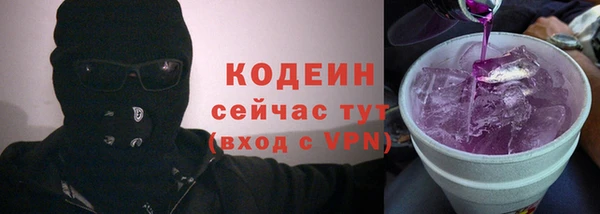ГАЛЛЮЦИНОГЕННЫЕ ГРИБЫ Козловка