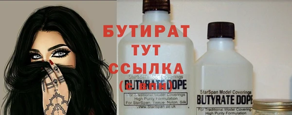 ГАЛЛЮЦИНОГЕННЫЕ ГРИБЫ Козловка