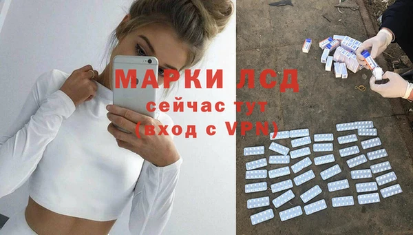 ГАЛЛЮЦИНОГЕННЫЕ ГРИБЫ Козловка