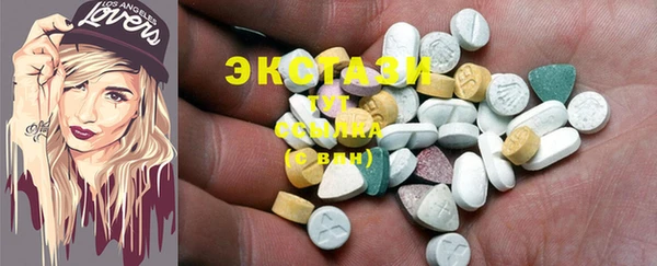 ГАЛЛЮЦИНОГЕННЫЕ ГРИБЫ Козловка