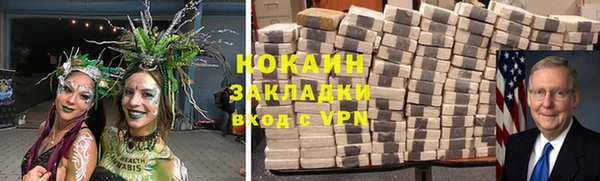 ГАЛЛЮЦИНОГЕННЫЕ ГРИБЫ Козловка