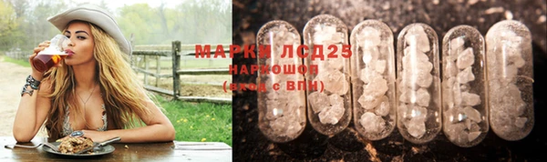 гашик Коряжма